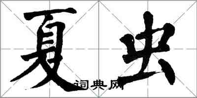 翁闓運夏蟲楷書怎么寫