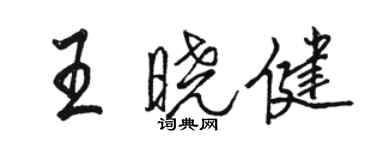 駱恆光王曉健行書個性簽名怎么寫