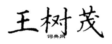 丁謙王樹茂楷書個性簽名怎么寫