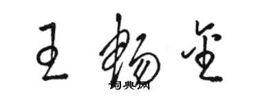 駱恆光王暢金草書個性簽名怎么寫