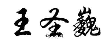 胡問遂王聖巍行書個性簽名怎么寫