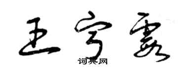 曾慶福王寧霞草書個性簽名怎么寫