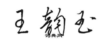 駱恆光王韻玉草書個性簽名怎么寫