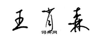 梁錦英王肖森草書個性簽名怎么寫