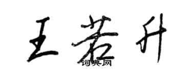 王正良王若升行書個性簽名怎么寫