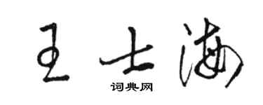 駱恆光王士海草書個性簽名怎么寫