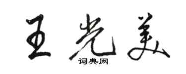 駱恆光王光美行書個性簽名怎么寫