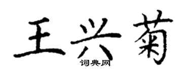 丁謙王興菊楷書個性簽名怎么寫