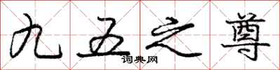 龐中華九五之尊行書怎么寫