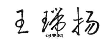 駱恆光王瑞揚草書個性簽名怎么寫