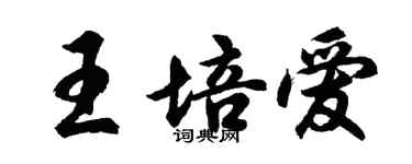 胡問遂王培愛行書個性簽名怎么寫
