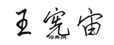 駱恆光王憲宙行書個性簽名怎么寫