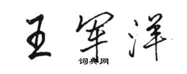 駱恆光王軍洋行書個性簽名怎么寫