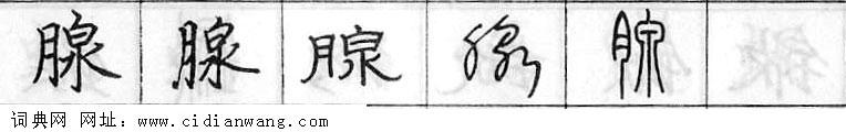 鋼筆字典