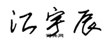 朱錫榮江宇辰草書個性簽名怎么寫