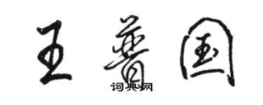 駱恆光王普國行書個性簽名怎么寫