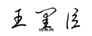 梁錦英王閨臣草書個性簽名怎么寫