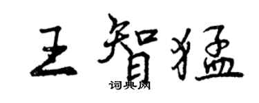 曾慶福王智猛行書個性簽名怎么寫