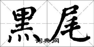 翁闓運黑尾楷書怎么寫