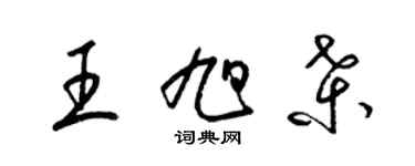 梁錦英王旭桑草書個性簽名怎么寫