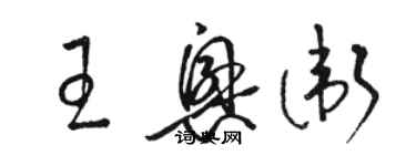 駱恆光王興衛草書個性簽名怎么寫