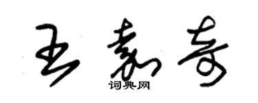 朱錫榮王嘉奇草書個性簽名怎么寫