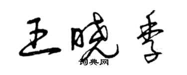 曾慶福王曉季草書個性簽名怎么寫