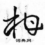 駱恆光寫的硬筆草書柑