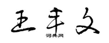 曾慶福王豐文草書個性簽名怎么寫