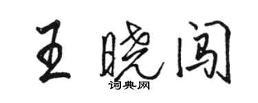 駱恆光王曉闖行書個性簽名怎么寫