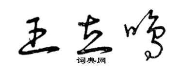曾慶福王立鳴草書個性簽名怎么寫
