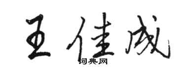 駱恆光王佳成行書個性簽名怎么寫