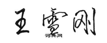 駱恆光王雪剛行書個性簽名怎么寫