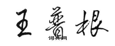 駱恆光王普根行書個性簽名怎么寫