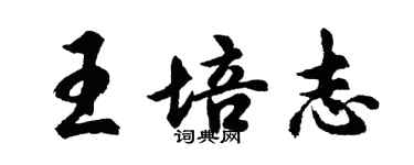 胡問遂王培志行書個性簽名怎么寫
