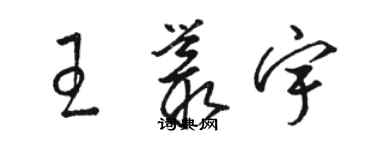 駱恆光王叢宇草書個性簽名怎么寫