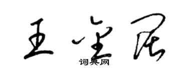 梁錦英王金闊草書個性簽名怎么寫