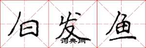侯登峰白髮魚楷書怎么寫