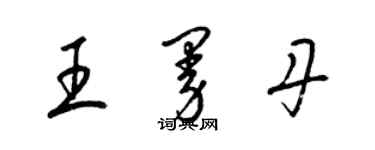 梁錦英王曼丹草書個性簽名怎么寫