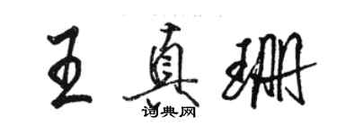 駱恆光王真珊行書個性簽名怎么寫