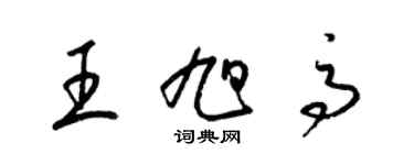 梁錦英王旭高草書個性簽名怎么寫