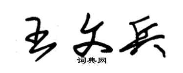 朱錫榮王文兵草書個性簽名怎么寫