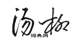 駱恆光湯柳草書個性簽名怎么寫