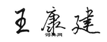 駱恆光王康建行書個性簽名怎么寫