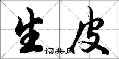 胡問遂生皮行書怎么寫