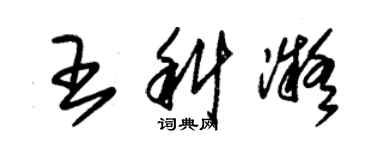 朱錫榮王科凝草書個性簽名怎么寫