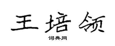 袁強王培領楷書個性簽名怎么寫
