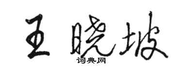 駱恆光王曉坡行書個性簽名怎么寫