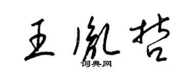 梁錦英王胤哲草書個性簽名怎么寫