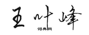 駱恆光王葉峰行書個性簽名怎么寫